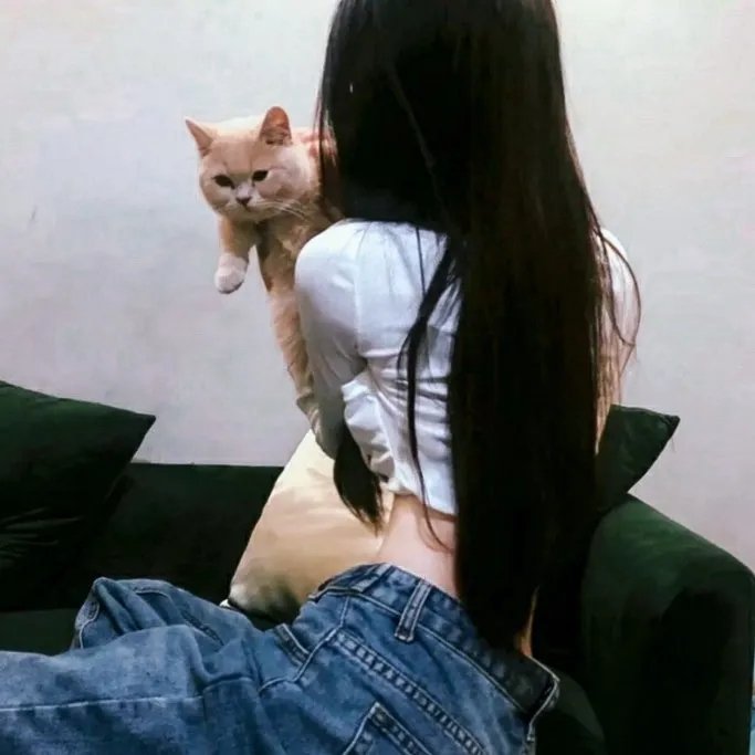 狂怒之年